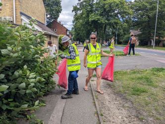 litter pick image