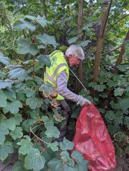 Litter picking