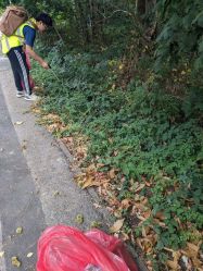 litter pick Savernake